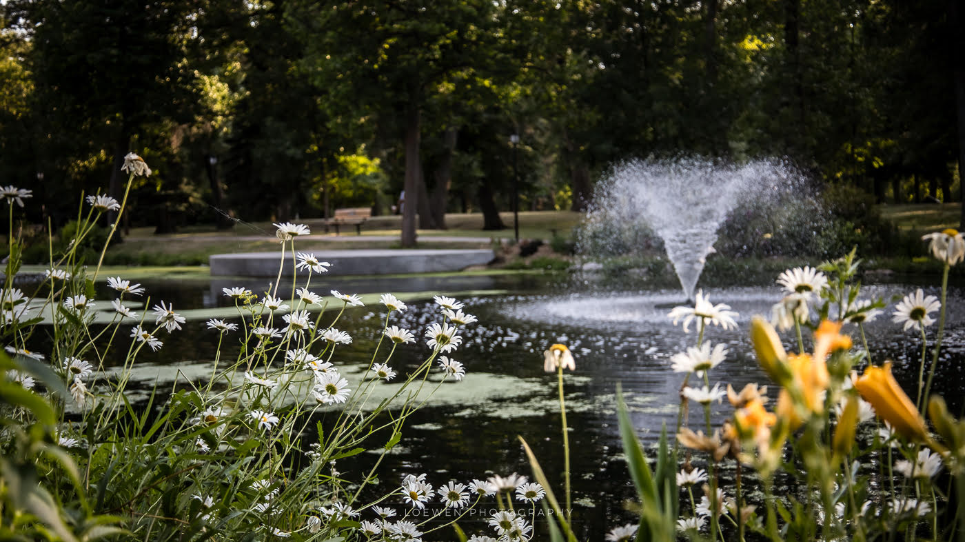 pond